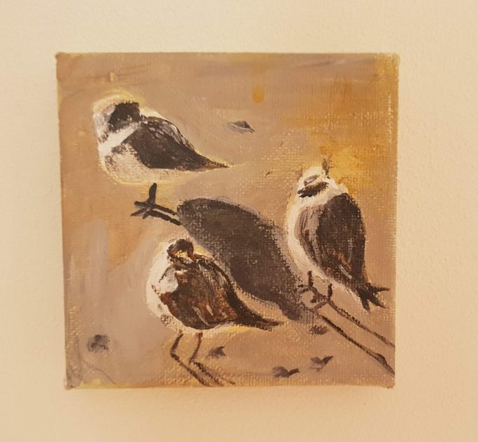 Miniatuur vogel schilderijtjes 10 x 10. Per set van 3. Serie 2 2