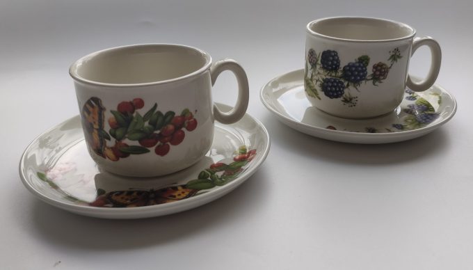 J&G Meakin/ Wedgwood. Libelle design Marjolein Bastin. Kop en schotel. Per set van 6. 4