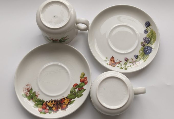 J&G Meakin/ Wedgwood. Libelle design Marjolein Bastin. Kop en schotel. Per set van 6. 6