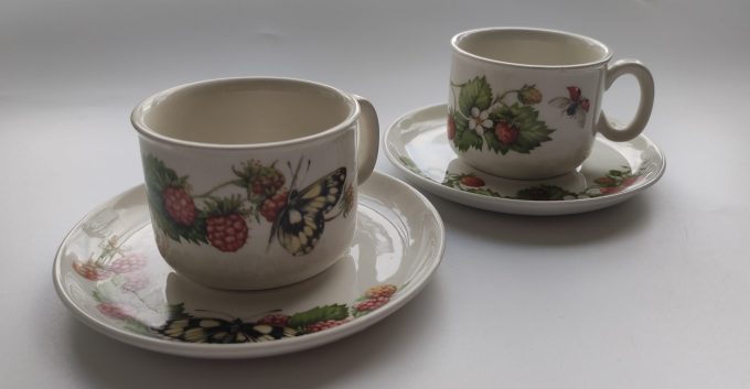 J&G Meakin/ Wedgwood. Libelle design Marjolein Bastin. Kop en schotel. Per set van 6. 2